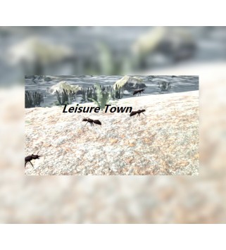 Leisure Town Steam Key GLOBAL